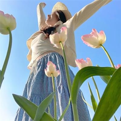 情宿